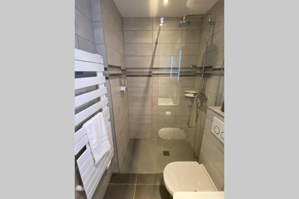 Le Continental Beau T2 Plein Centre + Parking Apartment Annecy Luaran gambar